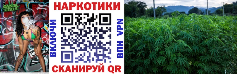 Купить наркоту Ачхой-Мартан АМФ  Псилоцибиновые грибы  COCAIN  A-PVP  ГАШ  Конопля  Мефедрон 