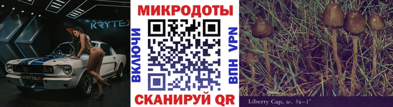Галлюциногенные грибы GOLDEN TEACHER  как найти закладки  Ачхой-Мартан 