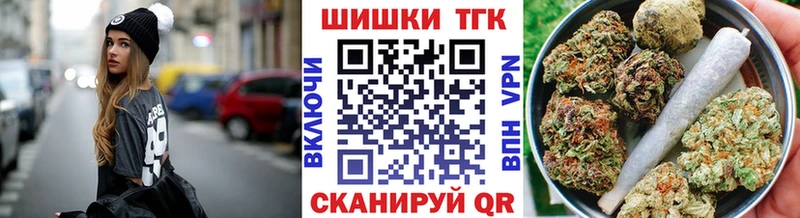 где продают   Ачхой-Мартан  Конопля сатива 